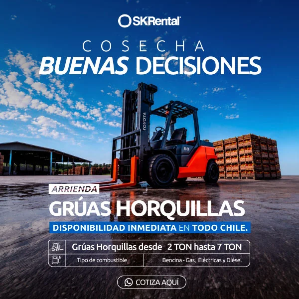 Arriendo de grua horquilla chile